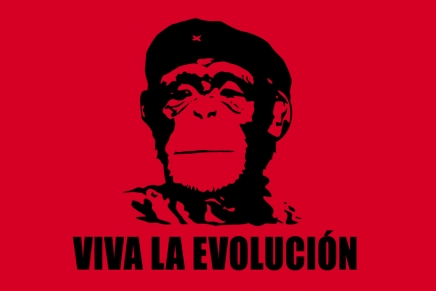 Viva la evolución
